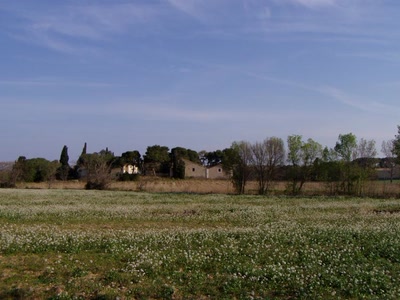 Résultat de recherche: nature