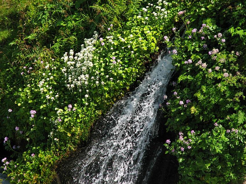En montant au lac d'Ilhéou