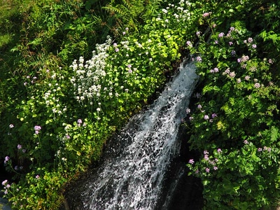 En montant au lac d'Ilhéou