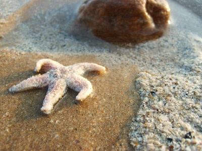 Résultat de recherche: à la belle étoile