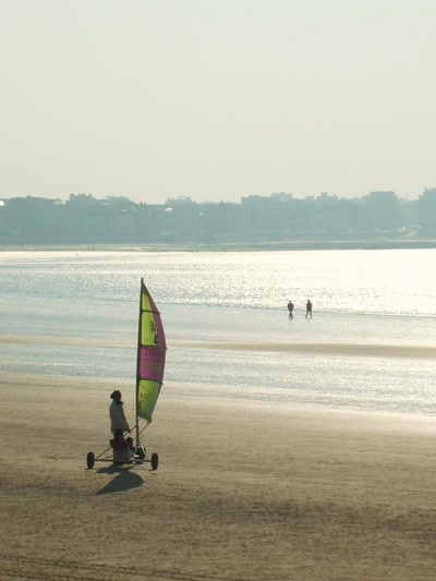 Résultat de recherche: char à voile