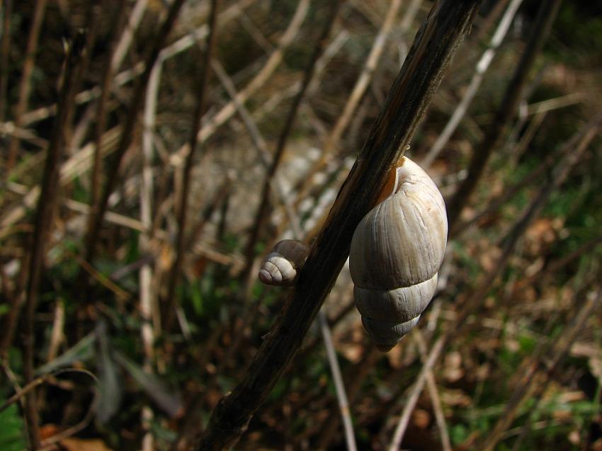 Maman : '' C'est quand la pluie ?,''