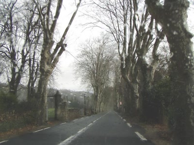 Résultat de recherche: nature