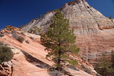 Résultat de recherche: Je serais grand et fort !