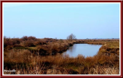 Résultat de recherche: Retouche photo. Je ne suis pas l'auteur.