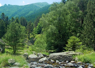 Résultat de recherche: Paysage .. 33