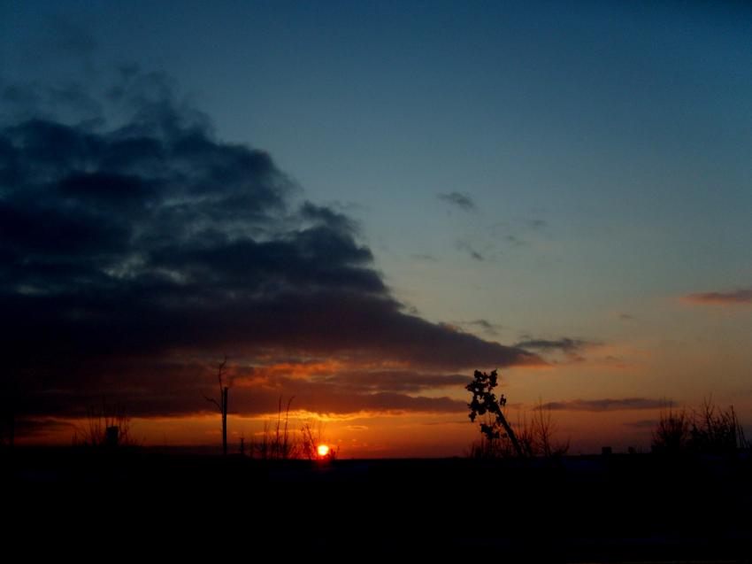 quand le bleu se mêle à l'orange