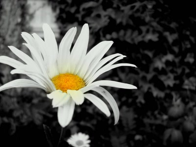 Œuvre de refletsdargent: yellow heart