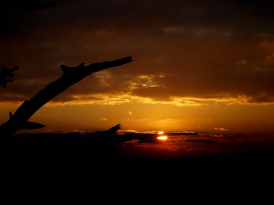 Résultat de recherche: fin du jour ou début de la nuit ?