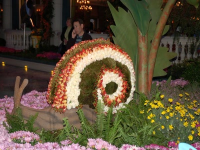 Œuvre de toe: Un bel escargot..