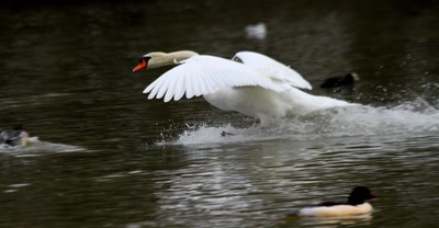 Attention, je me pose... 2ème essai