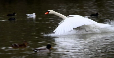 Attention, je me pose...