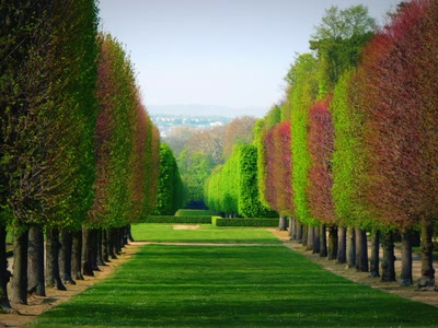 Résultat de recherche: Allée