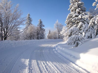 Ce n'est plus de saison