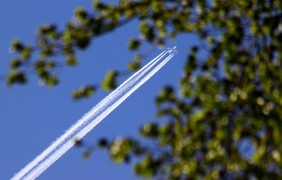 Aperçu de la galerie de rami68