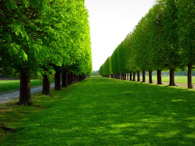 Œuvre de Yoyo: Encore loin