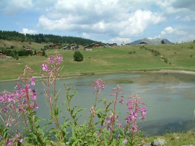 Résultat de recherche: Paysage .. 37