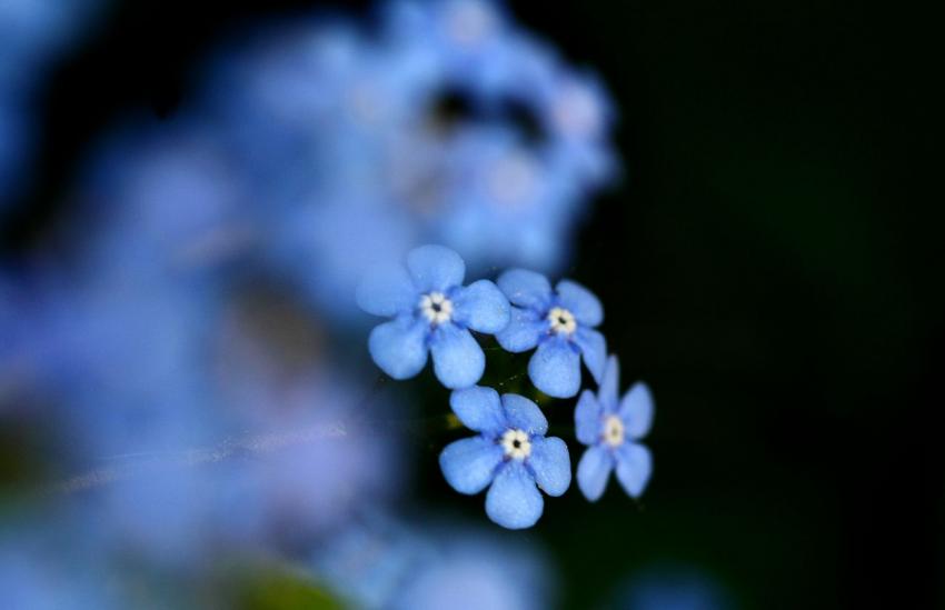 Tout dans le flou...