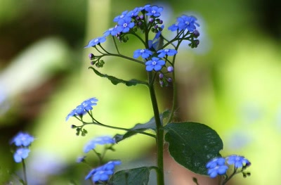 Œuvre de rami68: Là... C'est un peu plus net...