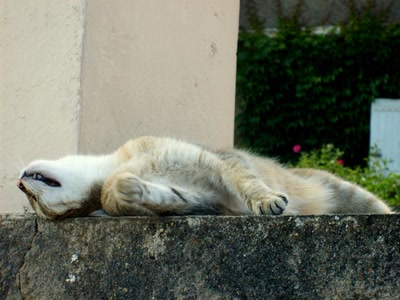 Œuvre de refletsdargent: écroulé de rire