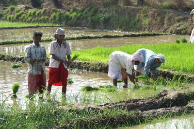 Inde du sud, région de Magdao