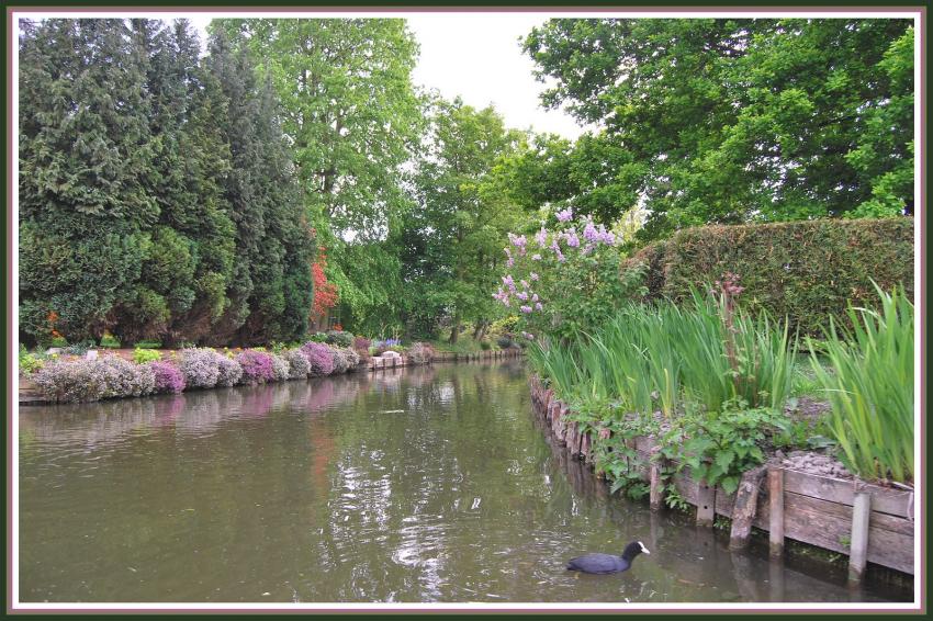 Amiens (80) Les Hortillonnages