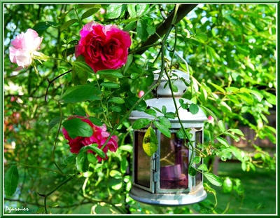 Œuvre de Pgarnier: Fleurs de printemps.