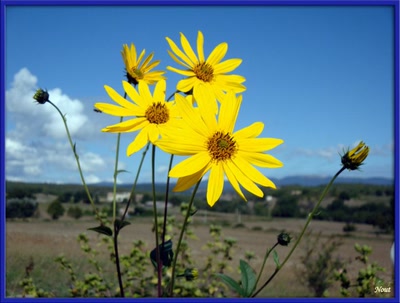 Œuvre de Nout: lumineuses