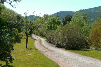 Œuvre de Ondine: Un si long chemin