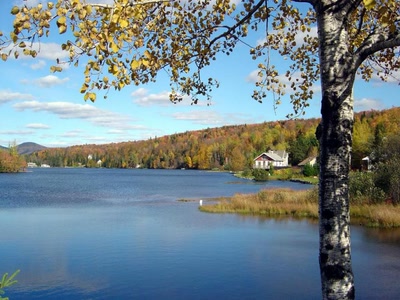 Résultat de recherche: Paysage .. 89