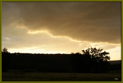 Résultat de recherche: Ombre chinoise