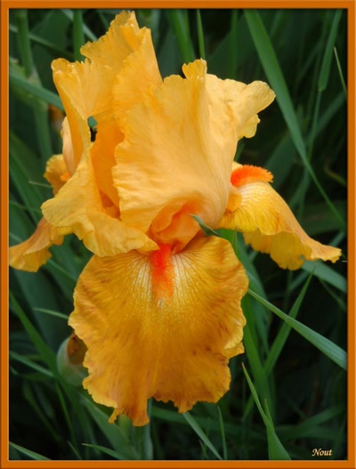 Œuvre de Nout: Encore une