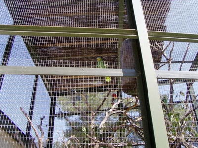 Résultat de recherche: zoo