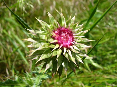 Résultat de recherche: Dans quelques jours JE M'ECLATE .....