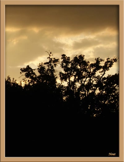 Résultat de recherche: lumière du soir