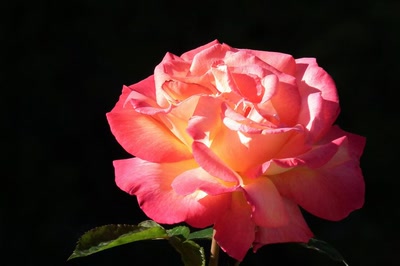 Œuvre de Ondine: Lumineuse