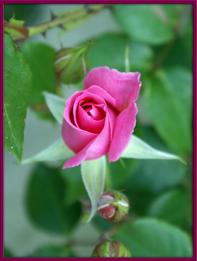 Œuvre de Nout: Encore une !