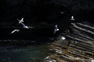 Œuvre de danque: Dans les Calanches de Scandola