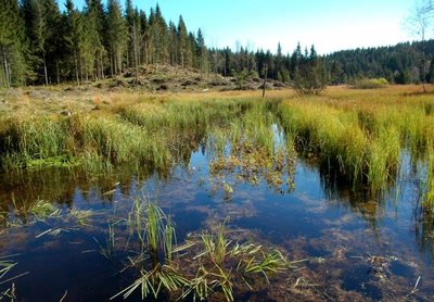 Résultat de recherche: Paysage .. 52