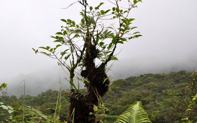 Résultat de recherche: Le V de la victoire ?? 