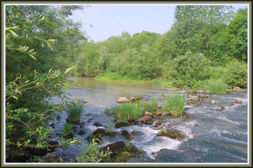 L'Oise à Séry lès Mézières (02)