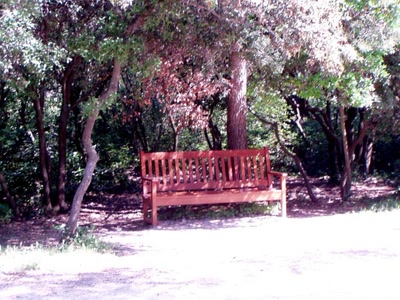 Résultat de recherche: zoo