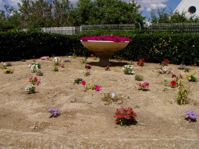 Résultat de recherche: fleurs