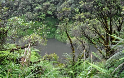 Résultat de recherche: bord du lac