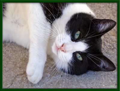 Résultat de recherche: Je vous observe