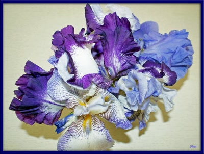 Résultat de recherche: composition