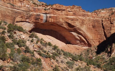 Résultat de recherche: Une future arche...