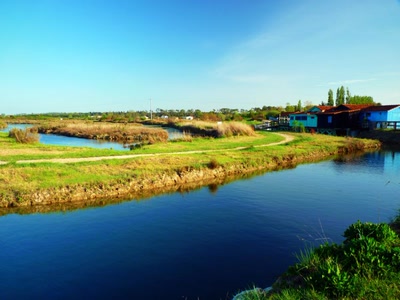 Œuvre de Yoyo: Près du port des Salines