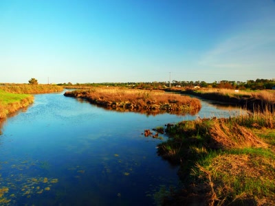Œuvre de Yoyo: Fin de journée près du port des Salines