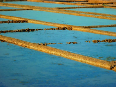 Œuvre de Yoyo: Marais salant